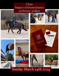 Impact of biomechanics on horses' welfare